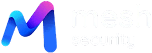 Mesh Security